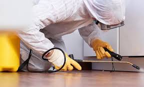 Best Pest Control for Multi-Family Homes  in Forest Hills, MI